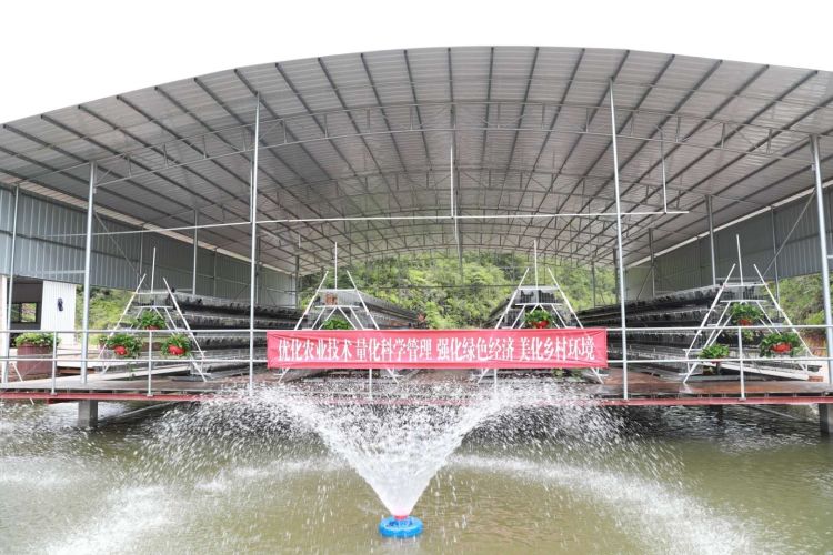 %e6%99%ba%e6%85%a7%e4%b8%80%e4%bd%93%e5%8c%96%e9%b8%a1%e8%88%8d%e9%b1%bc%e5%a1%98