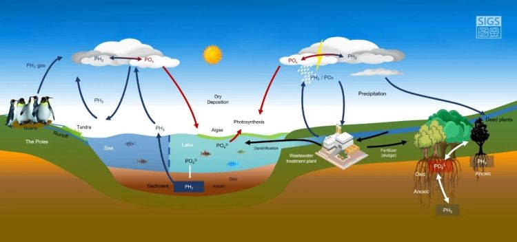 adfce5350d91061d0ea26e5c391de368