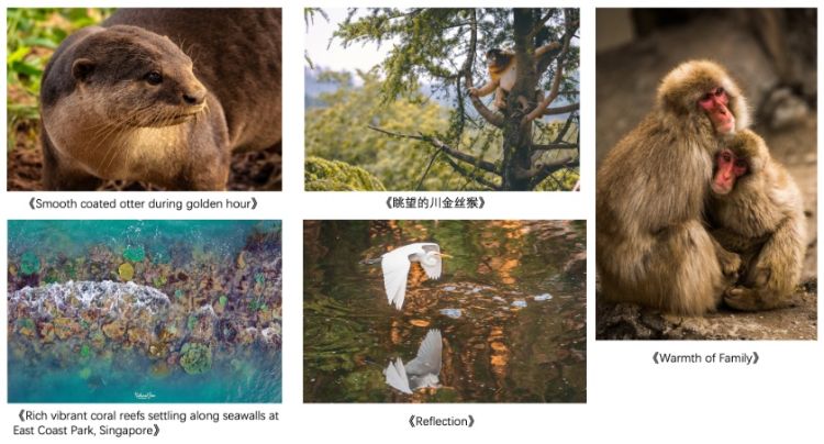 %e5%be%ae%e4%bf%a1%e6%88%aa%e5%9b%be_20220408213411