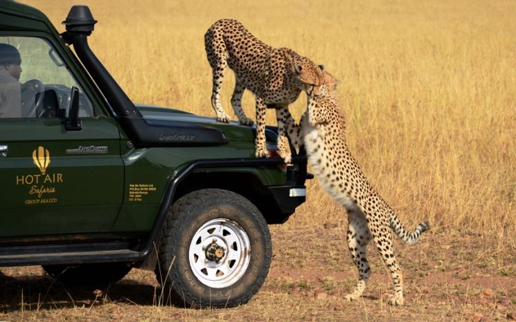 %e7%9b%b8%e6%9c%ba%e7%bb%84%e4%b8%80%e7%ad%89%e5%a5%96%e4%bd%9c%e5%93%81%e3%80%8a%e8%80%b3%e8%af%ad%e3%80%8b