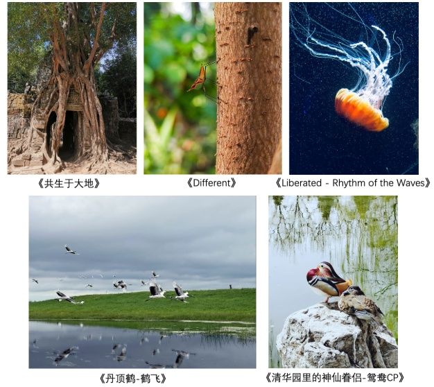 %e5%be%ae%e4%bf%a1%e6%88%aa%e5%9b%be_20220408213454