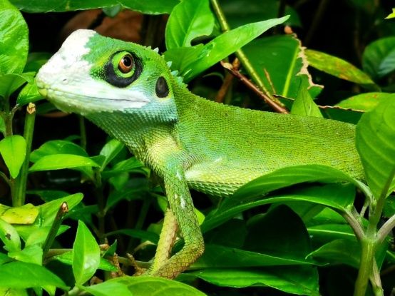 %e6%89%8b%e6%9c%ba%e7%bb%84%e4%b8%80%e7%ad%89%e5%a5%96%e4%bd%9c%e5%93%81%e3%80%8a%e9%9d%92%e8%9c%a5%e7%9a%84%e7%a9%bf%e6%a2%ad%e3%80%8b