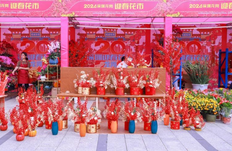 微信图片_20240204132051