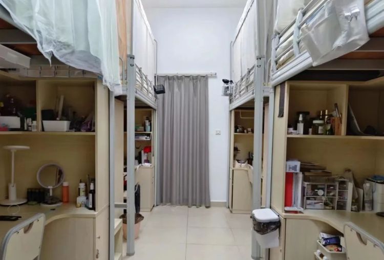 微信图片_20241225180839